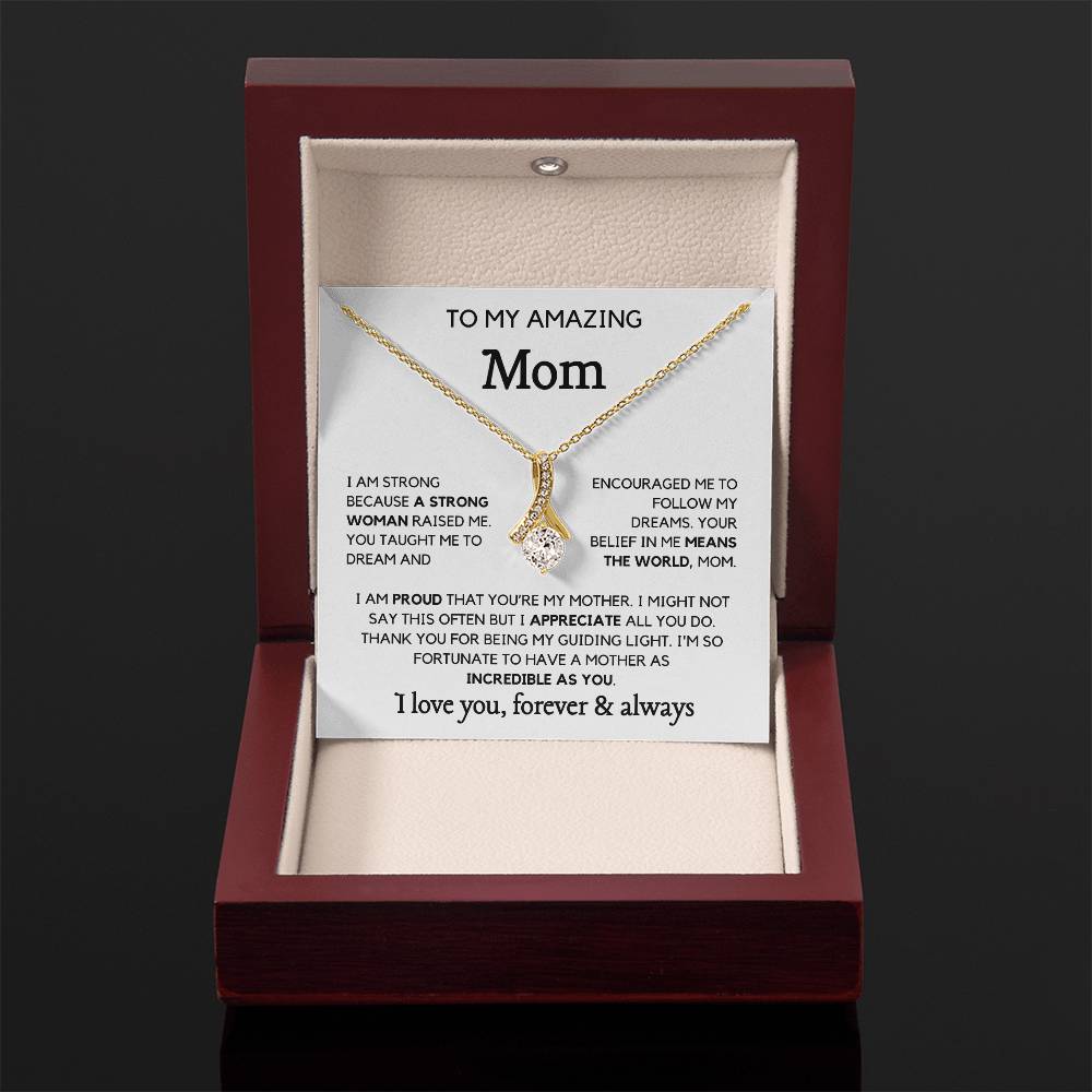 To my Amazing Mom- You Mean the world Necklace
