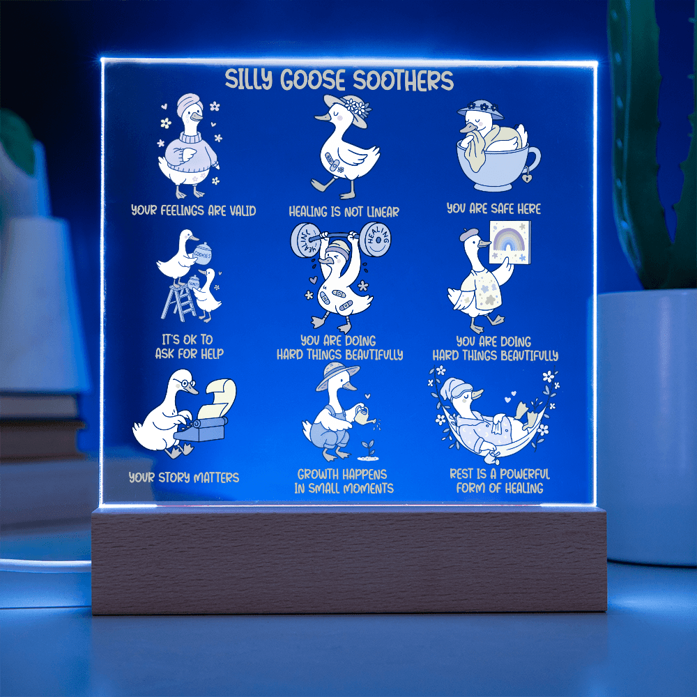 Silly goose soothers Gentle reminders Acrylic Plaque Mental health Art Self love reminders Self compassion Daily Motivation Therapist Decor