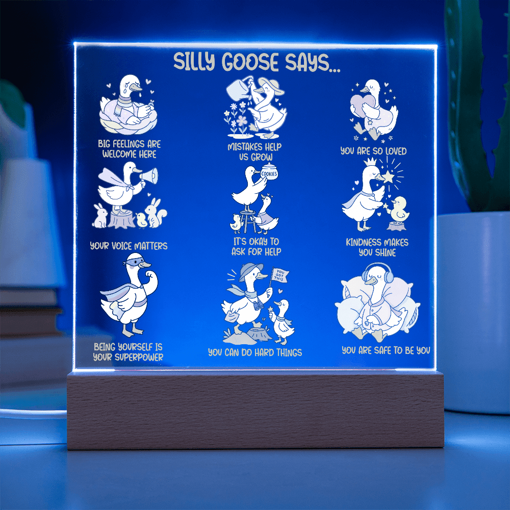 Silly Goose Gentle Reminders Acrylic Plaque, Kid Therapy Office Decor, Positive Affirmation LED Light, Pediatric Counselor Gift, Calm Corner Decor
