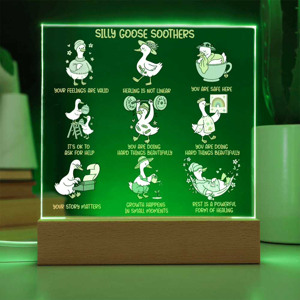 Silly goose soothers Gentle reminders Acrylic Plaque Mental health Art Self love reminders Self compassion Daily Motivation Therapist Decor