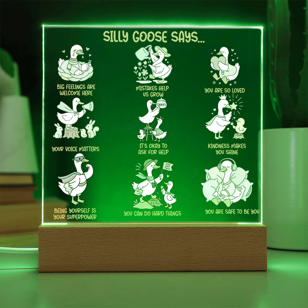 Silly Goose Gentle Reminders Acrylic Plaque, Kid Therapy Office Decor, Positive Affirmation LED Light, Pediatric Counselor Gift, Calm Corner Decor