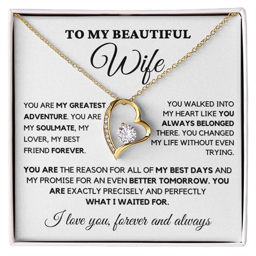 You are my greatest adventure Forever Love Necklace for Wife