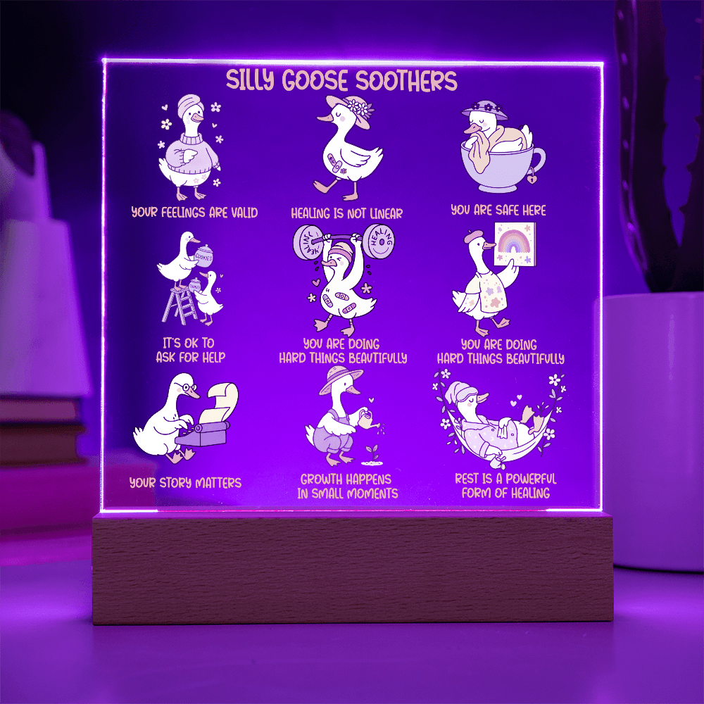 Silly goose soothers Gentle reminders Acrylic Plaque Mental health Art Self love reminders Self compassion Daily Motivation Therapist Decor