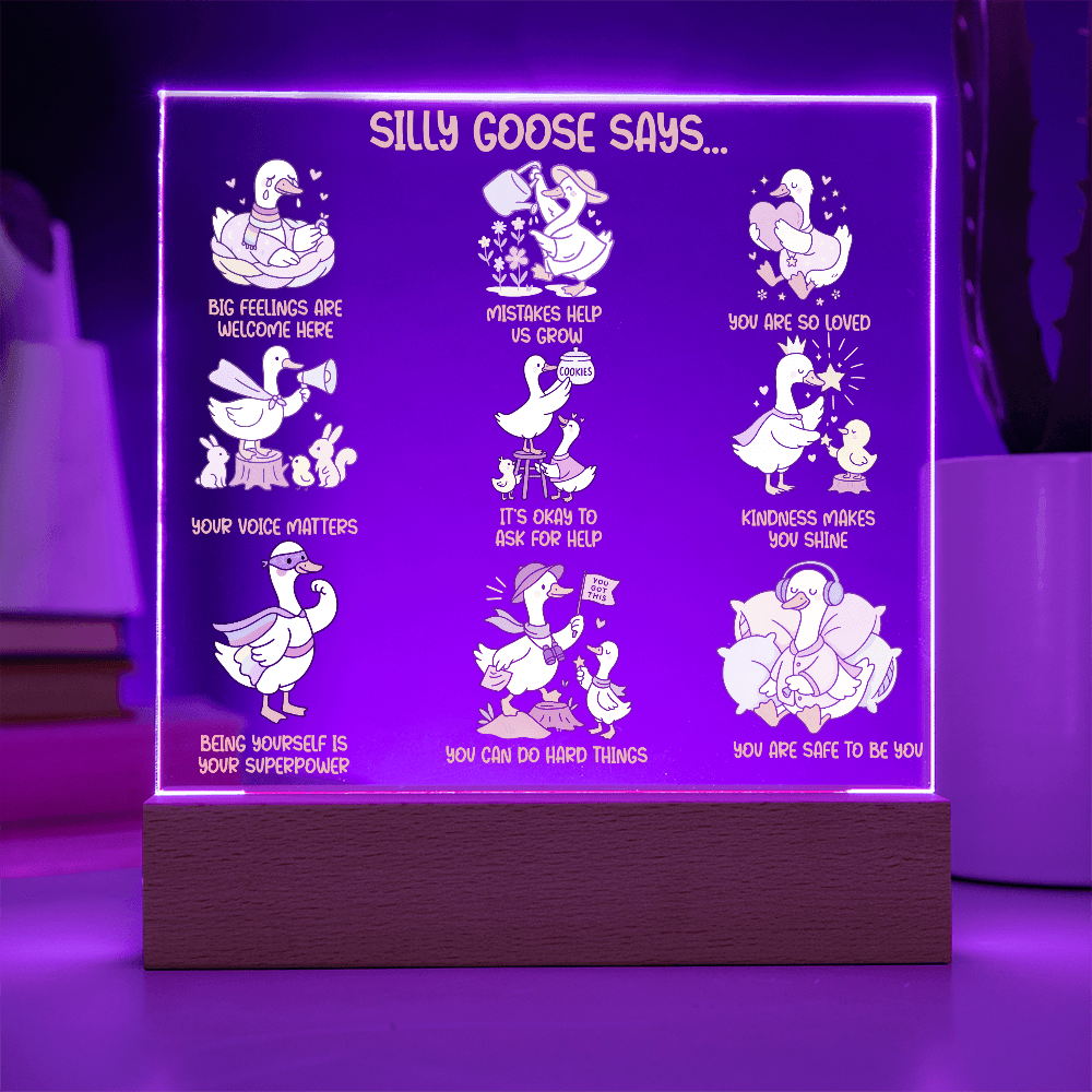 Silly Goose Gentle Reminders Acrylic Plaque, Kid Therapy Office Decor, Positive Affirmation LED Light, Pediatric Counselor Gift, Calm Corner Decor
