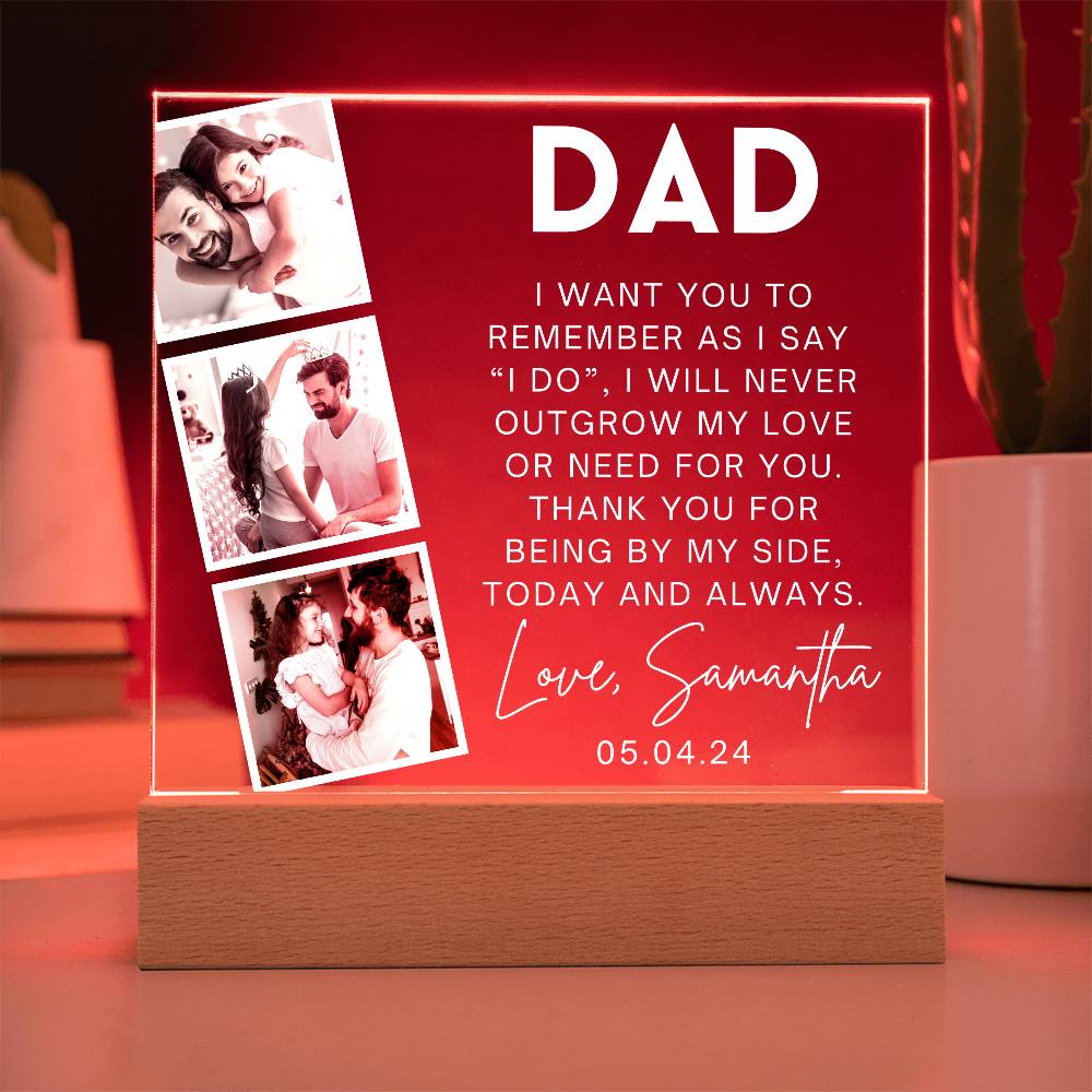 3 photo frame Bride wedding day gift for dad