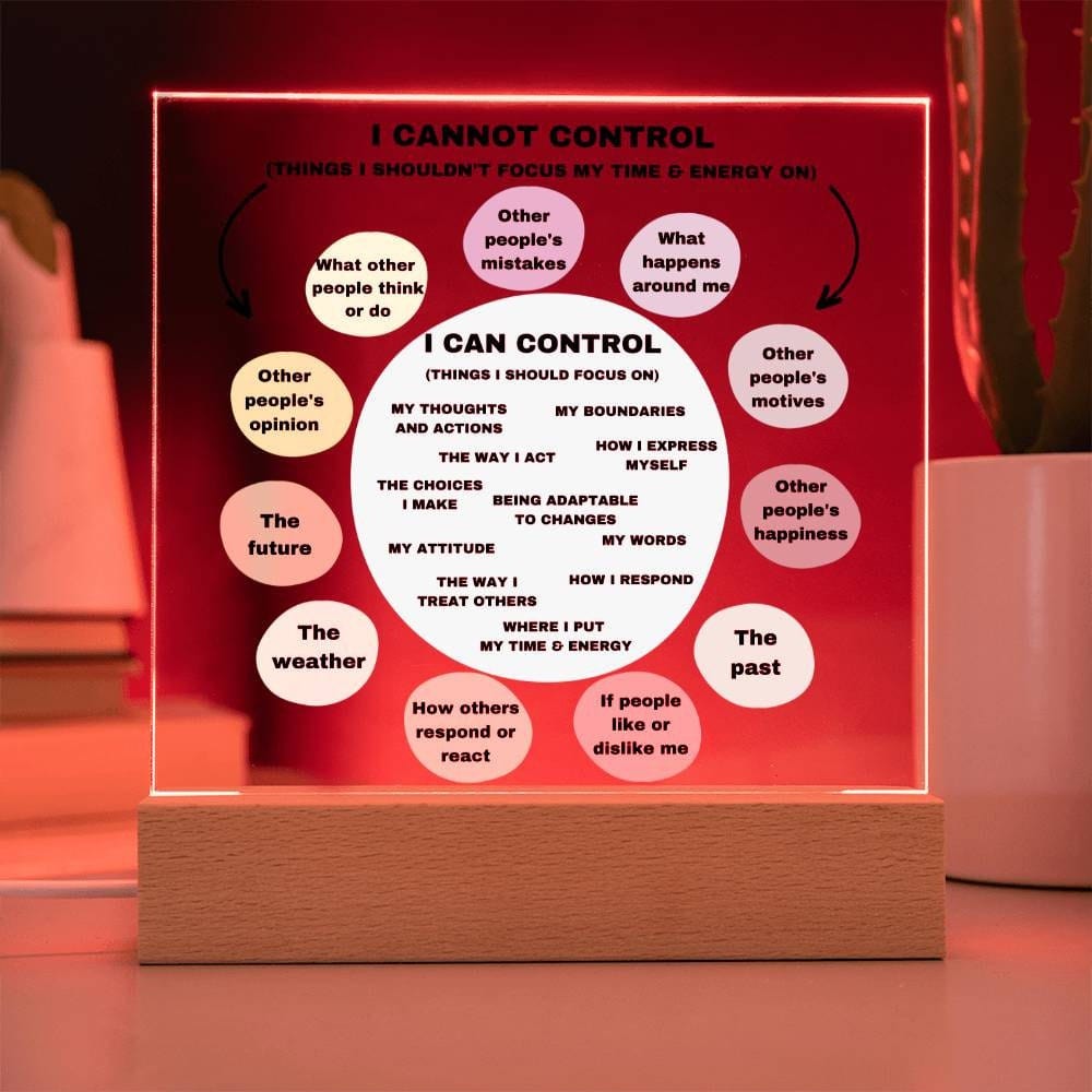 Things I can control Acrylic Decor What I can control Anxiety LED light Mindful Room Decor School Psychologist Office Decor Counselor Sign
