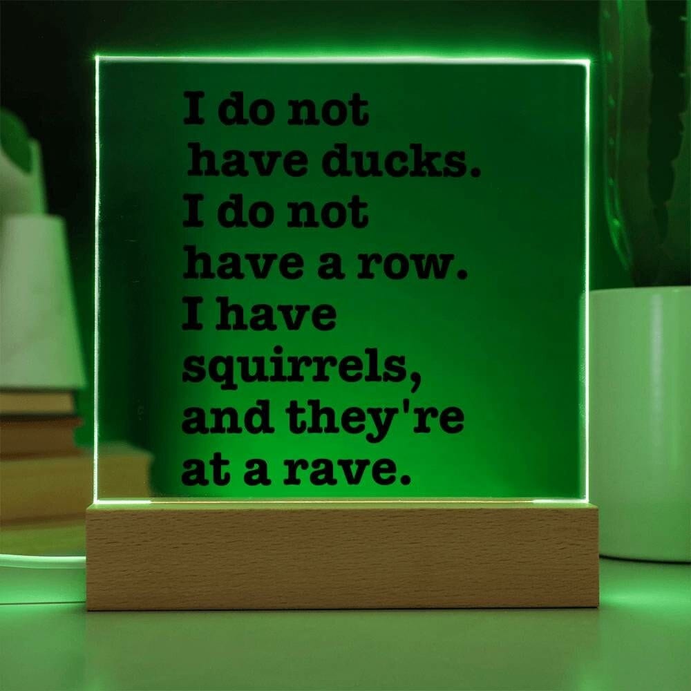 Sarcastic Funny sign Office decor, Gift for friend, Hot Mess Funny Desk sign, HIlarious office decor, I do not have ducks