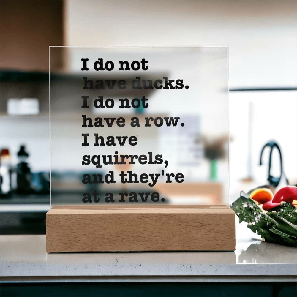 Sarcastic Funny sign Office decor, Gift for friend, Hot Mess Funny Desk sign, HIlarious office decor, I do not have ducks