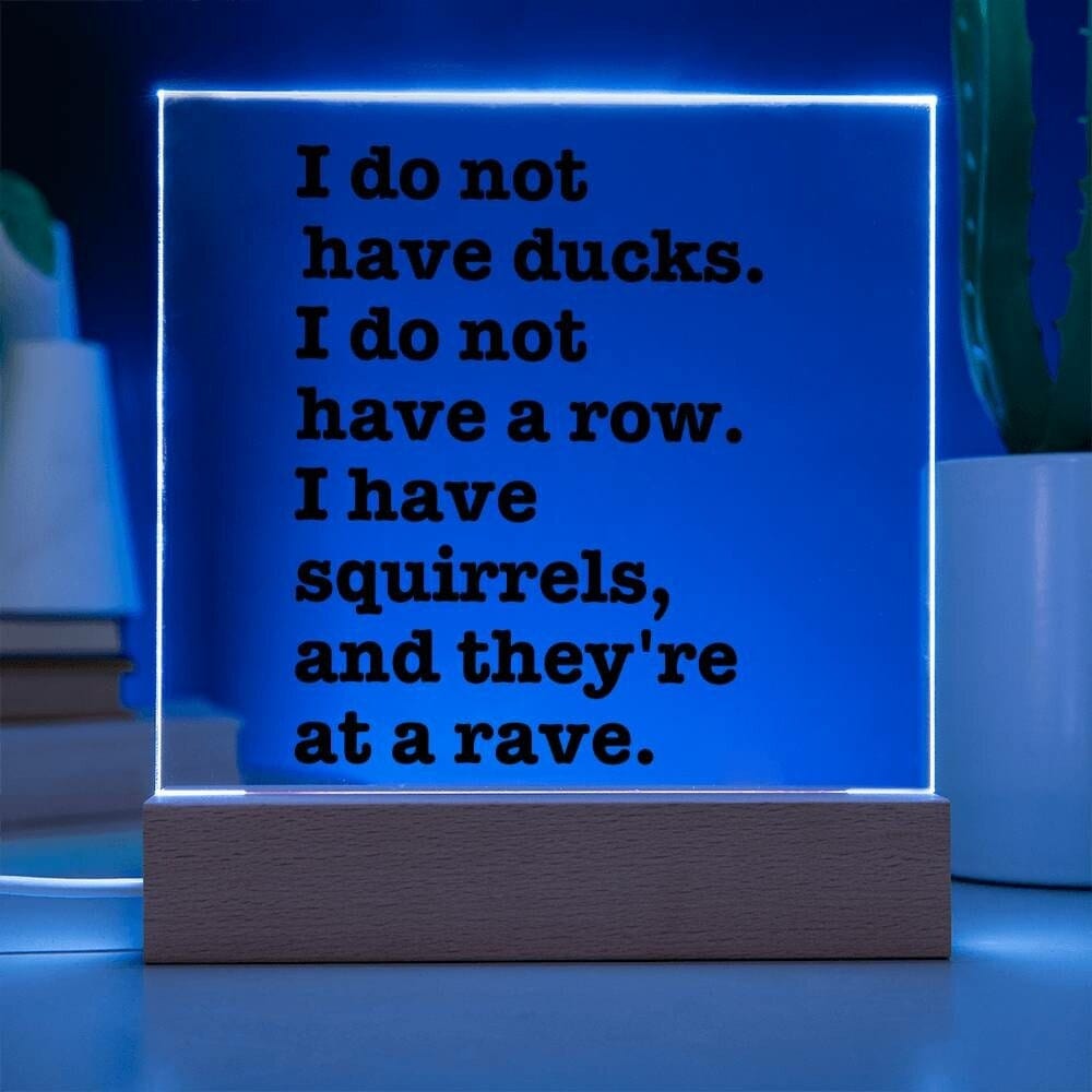 Sarcastic Funny sign Office decor, Gift for friend, Hot Mess Funny Desk sign, HIlarious office decor, I do not have ducks