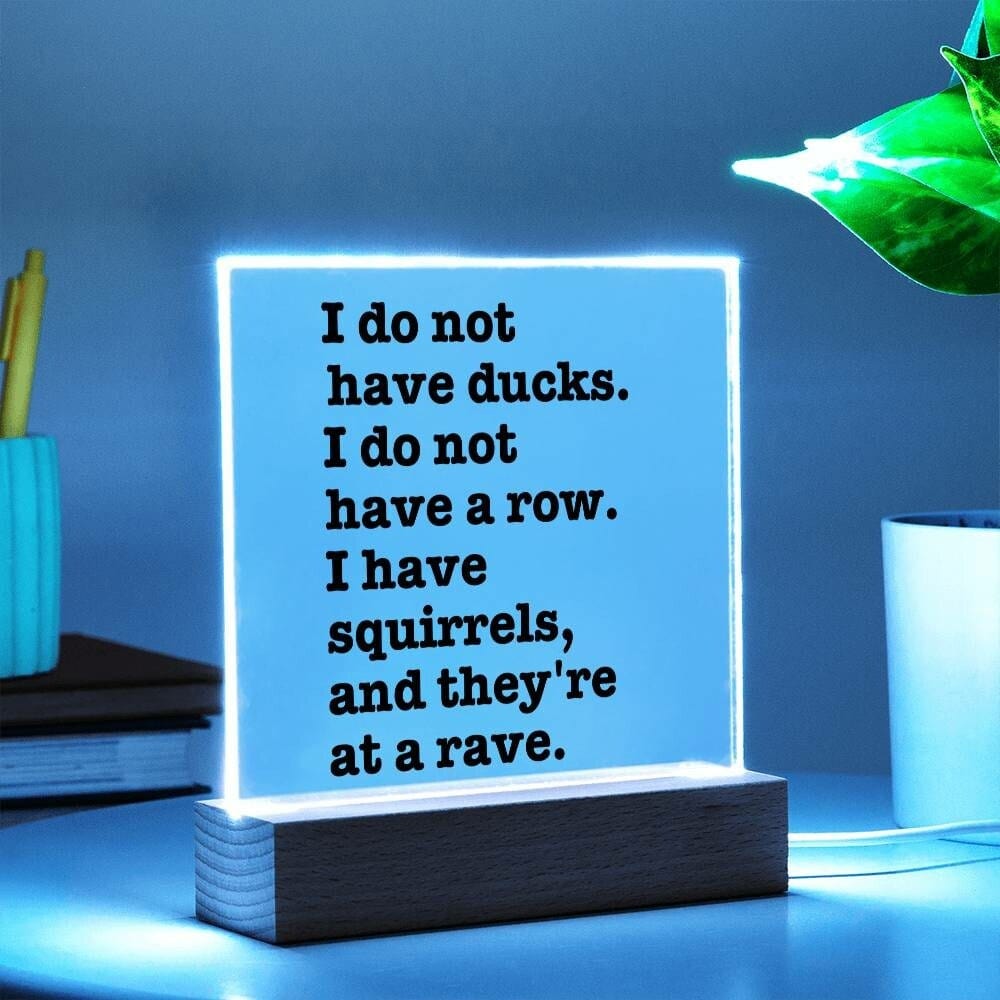 Sarcastic Funny sign Office decor, Gift for friend, Hot Mess Funny Desk sign, HIlarious office decor, I do not have ducks