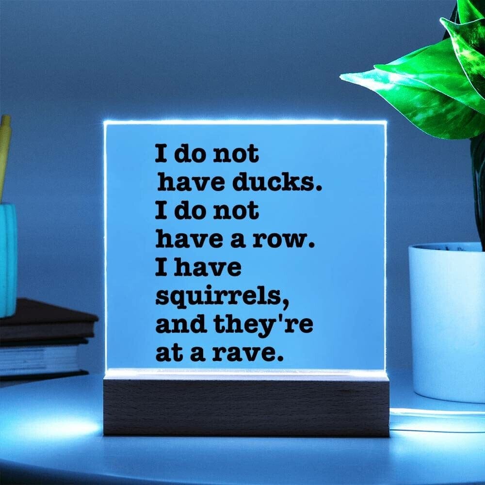 Sarcastic Funny sign Office decor, Gift for friend, Hot Mess Funny Desk sign, HIlarious office decor, I do not have ducks