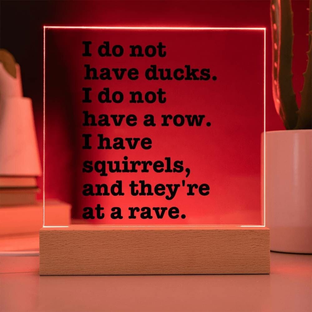 Sarcastic Funny sign Office decor, Gift for friend, Hot Mess Funny Desk sign, HIlarious office decor, I do not have ducks