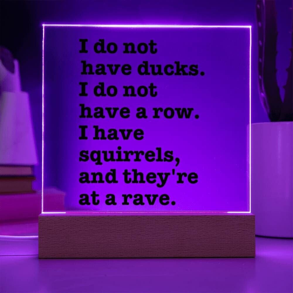 Sarcastic Funny sign Office decor, Gift for friend, Hot Mess Funny Desk sign, HIlarious office decor, I do not have ducks