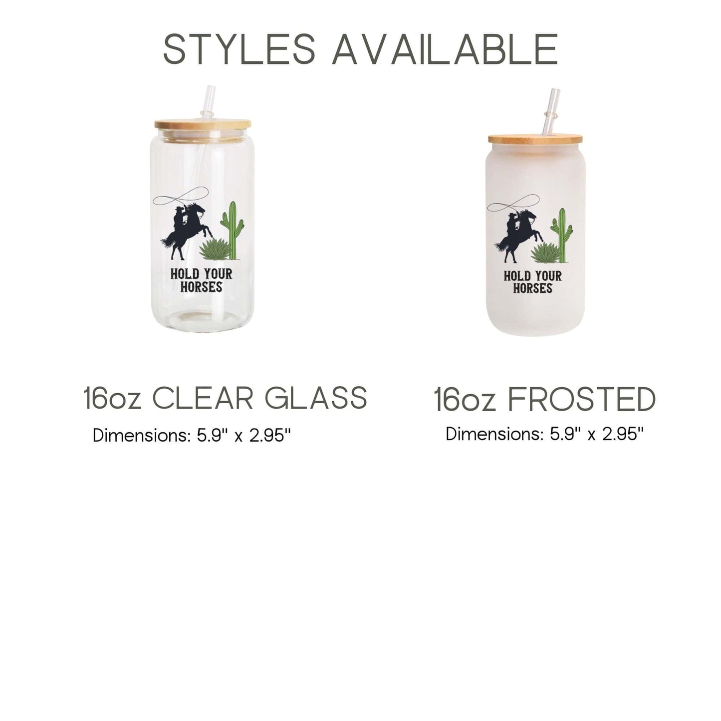 Country Western Frosted Iced Coffee Cup Hold your horses Frosted Tumbler with Straw Western Rodeo cowboy beer Glass Can Gift for Cowgirl