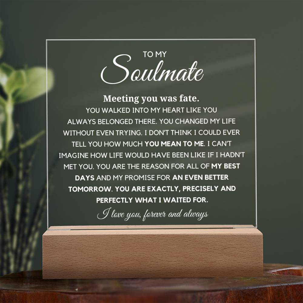 Soulmate "You are Exactly, Precisely what I waited for" Acrylic Plaque