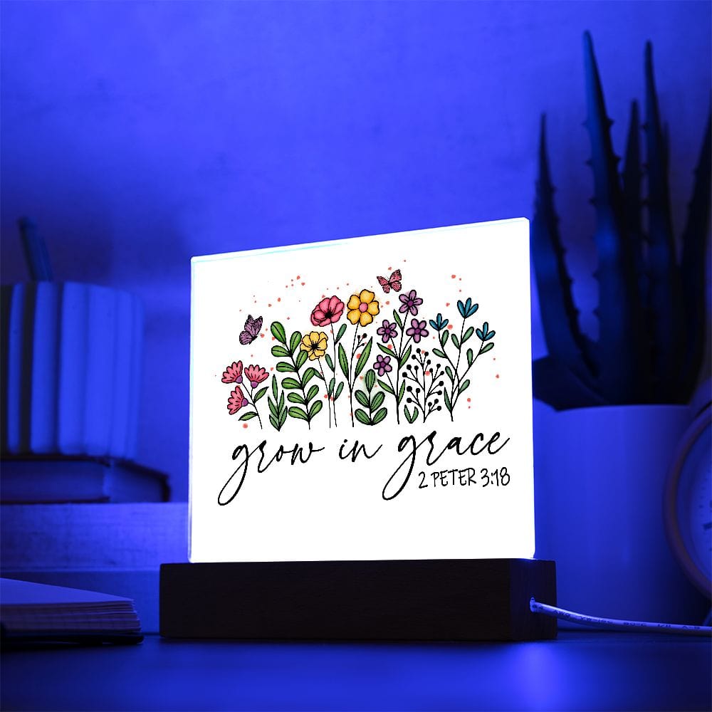 Bible Verses Acrylic Plaque, Scripture Art LED night light, Christian Gifts, Religious Present, Grow in Grace Wildflower Home Decor