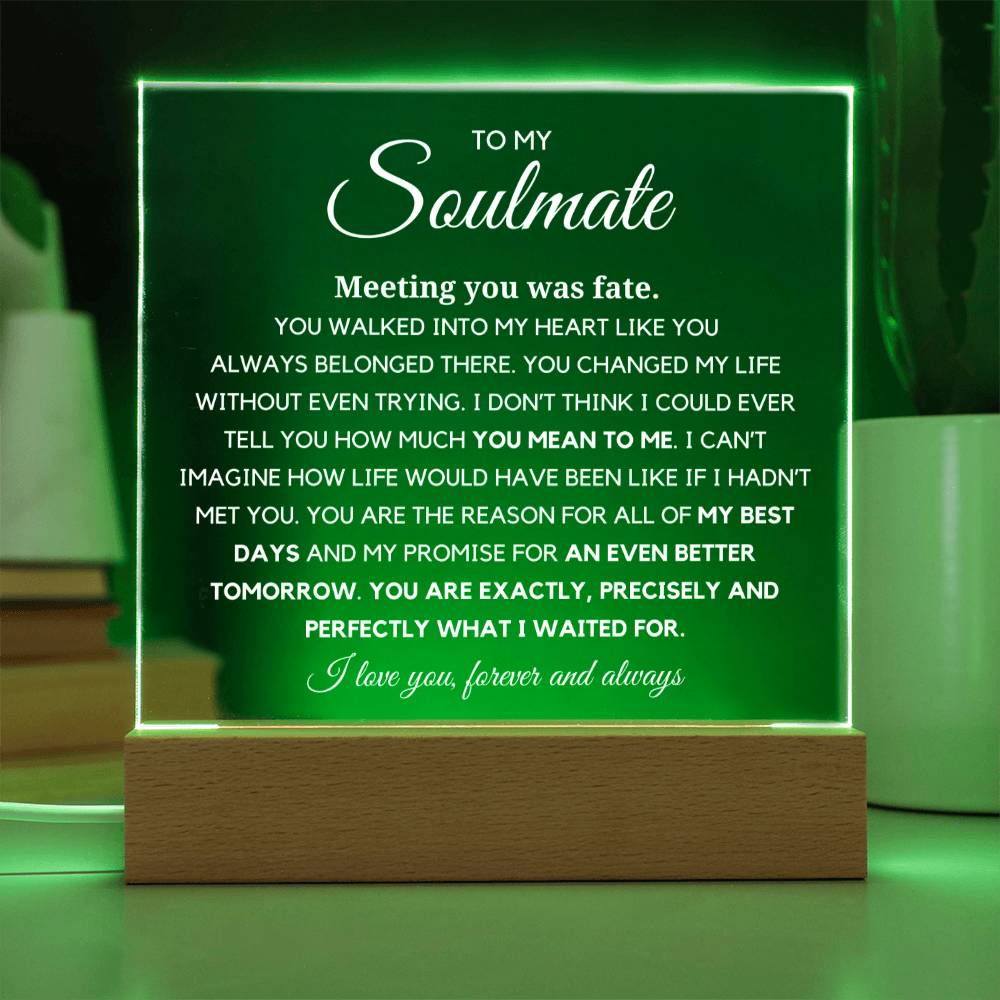 Soulmate "You are Exactly, Precisely what I waited for" Acrylic Plaque