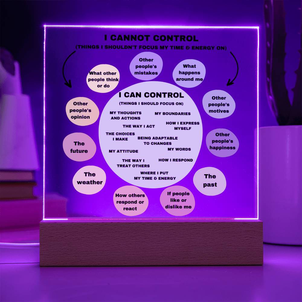 Things I can control Acrylic Decor What I can control Anxiety LED light Mindful Room Decor  School Psychologist Office Decor Counselor Sign