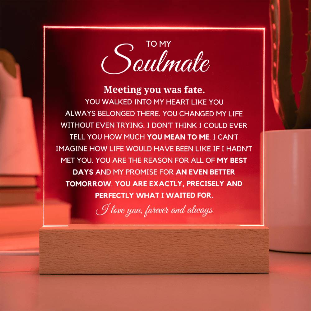 Soulmate "You are Exactly, Precisely what I waited for" Acrylic Plaque