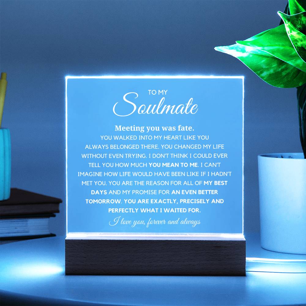Soulmate "You are Exactly, Precisely what I waited for" Acrylic Plaque