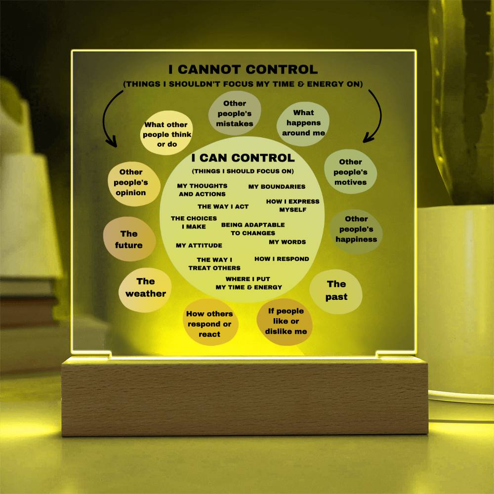 Things I can control Acrylic Decor What I can control Anxiety LED light Mindful Room Decor  School Psychologist Office Decor Counselor Sign