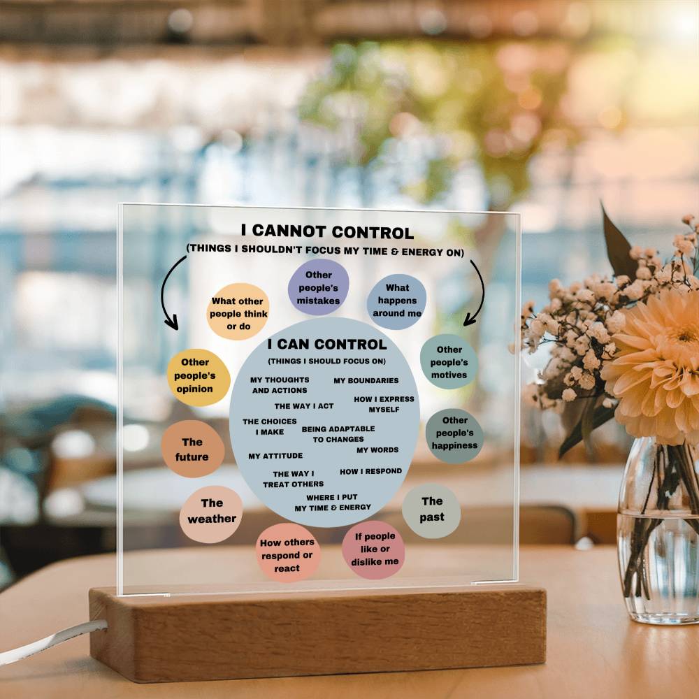 Things I can control Acrylic Decor What I can control Anxiety LED light Mindful Room Decor  School Psychologist Office Decor Counselor Sign