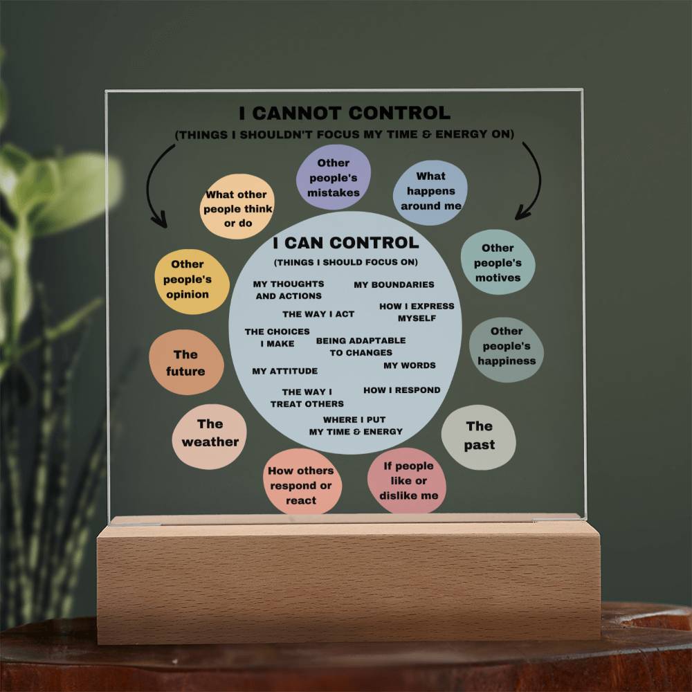 Things I can control Acrylic Decor What I can control Anxiety LED light Mindful Room Decor  School Psychologist Office Decor Counselor Sign