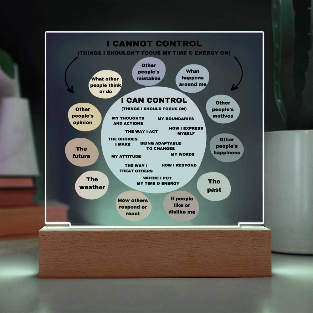 Things I can control Acrylic Decor What I can control Anxiety LED light Mindful Room Decor  School Psychologist Office Decor Counselor Sign