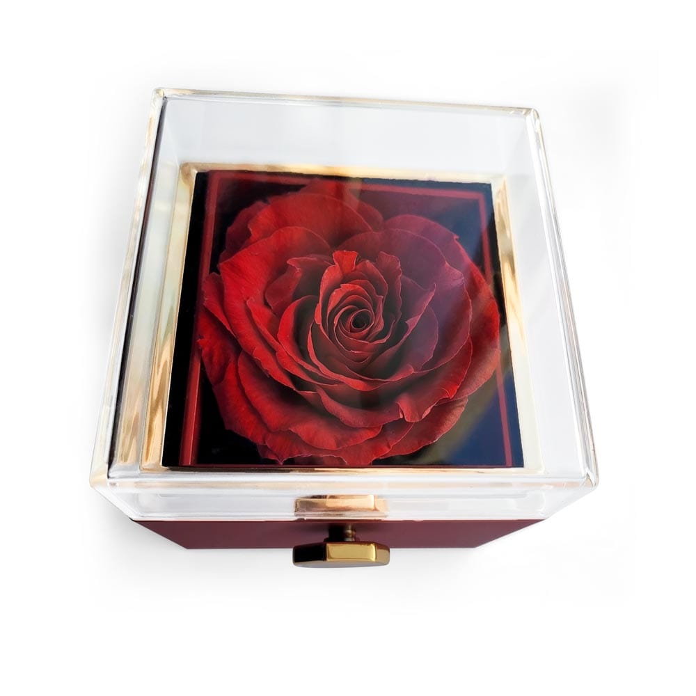 Im sorry for Hurting you- Deluxe Rotating Rose