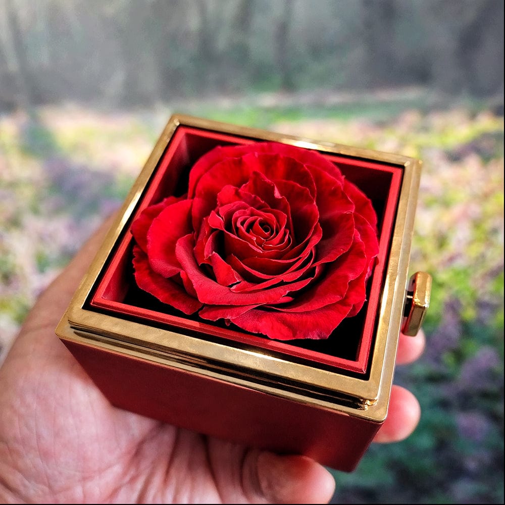 Im sorry for Hurting you- Deluxe Rotating Rose