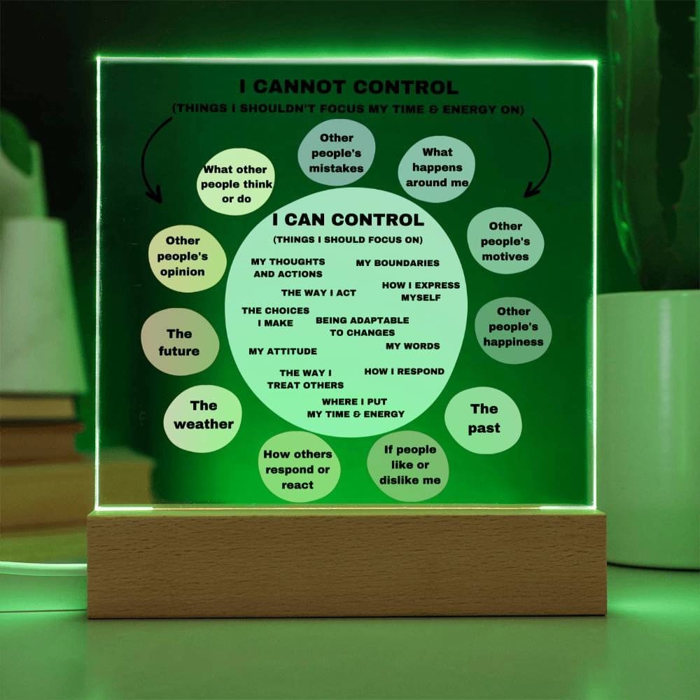 Things I can control Acrylic Decor What I can control Anxiety LED light Mindful Room Decor  School Psychologist Office Decor Counselor Sign