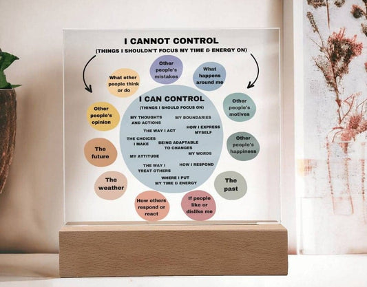 Things I can control Acrylic Decor What I can control Anxiety LED light Mindful Room Decor  School Psychologist Office Decor Counselor Sign