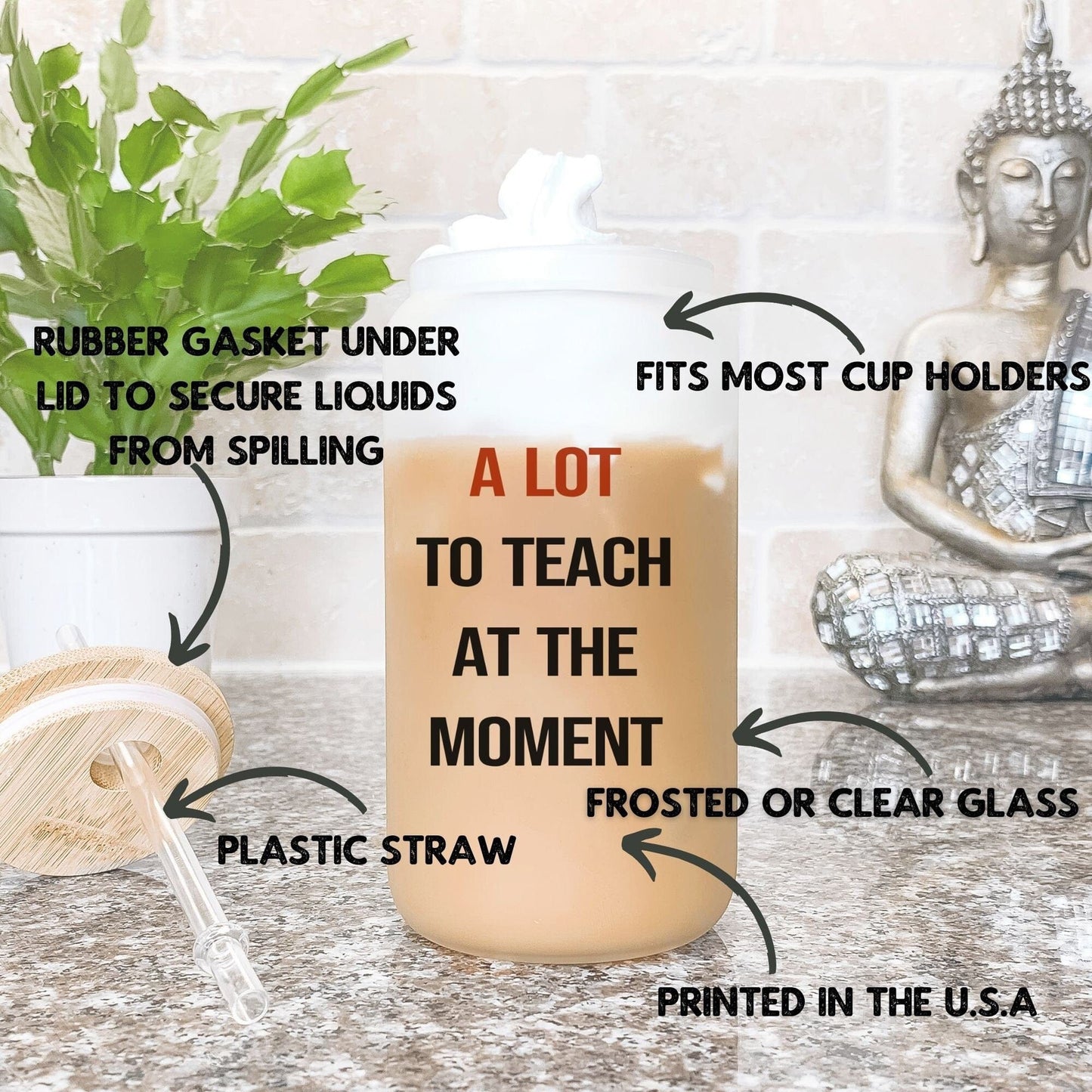 A lot to teach at the moment Iced Coffee Cup Trendy Teacher Gift Frosted Tumbler with Straw Funny Teacher Glass Can Tumbler Gift for her