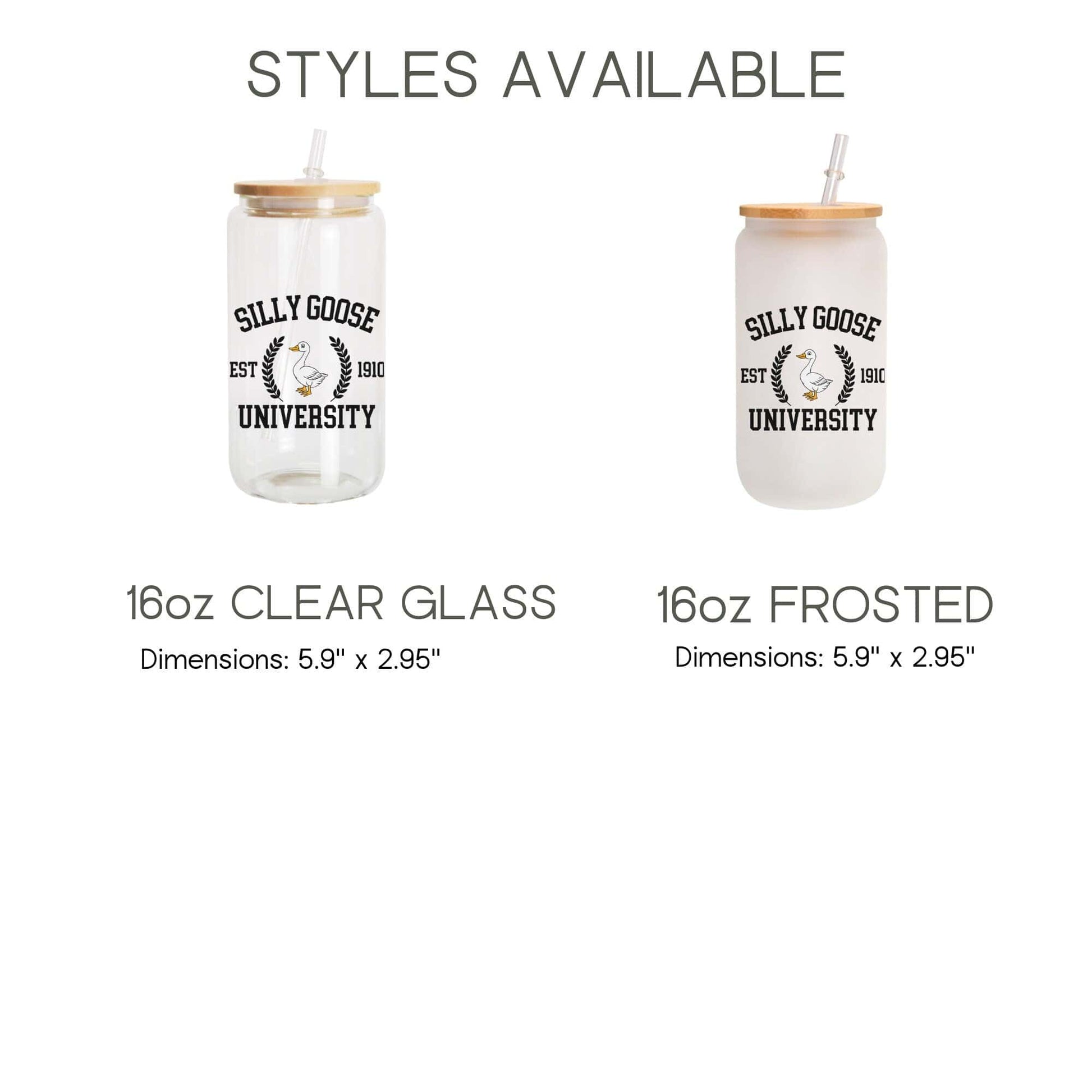 Silly Goose University Iced Coffee Cup Goose Bumps Frosted Coffee Tumbler with straw Funny Goose Beer Can Funny gift Fist bump Glass Tumbler